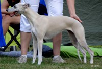 /album/mvp-mlada-boleslav-25-8-2012/dsc08335by-vipetka-jpg/